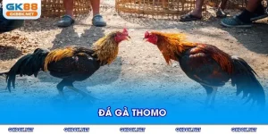 da-ga-thomo