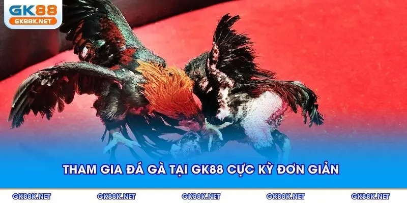 Tham gia đá gà tại GK88 cực kỳ đơn giản